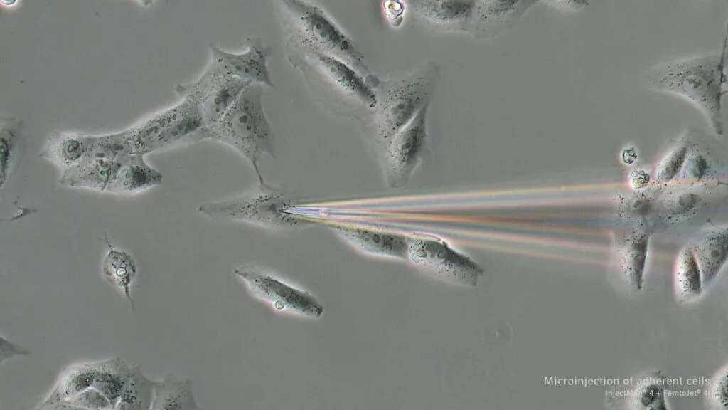 FemtoJet_4i_FemtoJet_4x_3