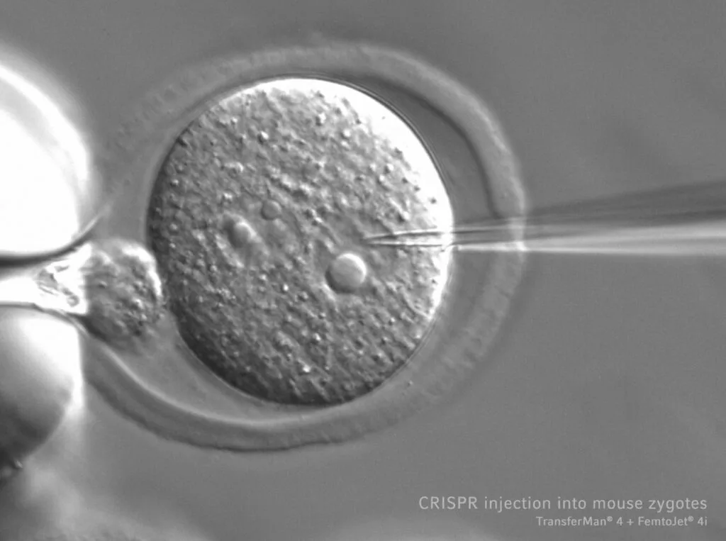 FemtoJet_4i_FemtoJet_4x_4