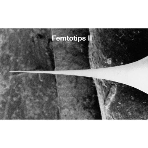 Femtotip_II_image