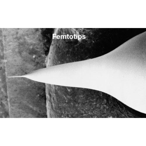 Femtotips_image